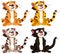Tigers with distinct playful expressions