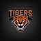 Tigers. Emblem with angry tiger head. Sport team logo template.