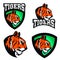 Tigers. Sport team or club logo template.