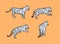 Tigers wild cat vector set. Light Blue Safari Tiger Animals Icons