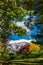 Tight crop of trees and bushes showing their multicolored fall foliage, in front of a beautiful blue sky and white