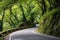 tight hairpin bend on a steep professional cycling route