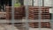 tight shot, piles of wood palettes skids, pavement, outdoor canopy tent-