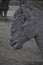 Tighter head shot of Xi`An Terracotta Horses