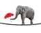 Tightrope walking elephant