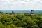 Tikal - Maya Ruins in the rainforest of Guatemala