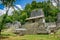 Tikal mayan ruins in guatemala