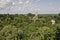 Tikal - panoramic view