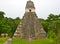 Tikal Pyramid in Guatemala
