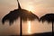 Tiki hut umbrellas, thatch. Sunrise, sunset view on beach in Tunisia