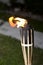 Tiki torches burning