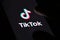 TikTok app, logo