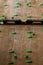 Tile levelling system, four plastic green clips with wedges. Close-up view, selective focus, blurred background