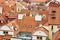 Tile orange rooftops in Prague