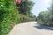 Tiled road with wooden fence on right and green bushes with purple flowers on left