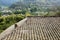 Tiled roof of aged farmhouse in blossoming mountain of sunny spirng