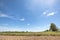 Tillage rice field with beautiful blue clear sky in the afternoon at lampoon thailand