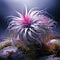 Tillandsia South American bromeliad