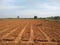 Tilled Earth: Expansive Farming Land Ready for Cultivation
