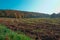 Tilled Field in Autumn with Plants and grass in the foreground.