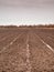 Tilled field in winter