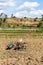 Tiller tractor in rice field