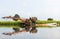 Tillers reflected in rice paddies.