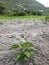 Tilling the land Nature in Growth, agriculture fertile ground