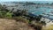 tilt footage of the boats and yachts docked in the Dana Point Harbor with vast blue ocean water and lush green trees at Dana Point