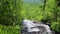 tilt footage of a gorgeous spring landscape with lush green trees and plants and a flowing waterfall with large rocks