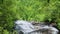 tilt footage of a gorgeous spring landscape with lush green trees and plants and a flowing waterfall with large rocks