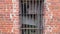 Tilt of an old overgrown red brick single jail unit bars on a window