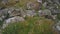 Tilt and reveal shot of rocky island in the Firth of the Forth, Scotland