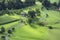Tilt Shift Aerial View of Agricultural Fields