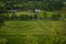 Tilt shift effect of creatively landscaped green meadows, Scotland