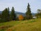 Tilt shift image of landscape with golden tree