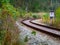 Tilt shift image of winding railroad tracks