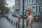 Tilt-shift shooting blonde girl on street