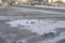 Tilt shift view from afar of unidentified adults and children walking in a large puddle covered with ice