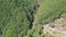 Tilt up aerial drone view of coniferous pine forest in early autumn in Taiwan