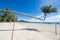 Tilted coconut tree landmark of Tao island in Thailand