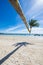 Tilted coconut tree landmark of Tao island in Thailand