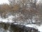 Tilted and fallen trees on the riverbank in winter, countryside