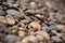 Tilted photo of gravel or pebble on the ground