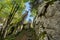 Tilted rock along the hiking path in Bijele stijene strict nature reserve, Croatia