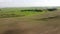 Tilting shot over crop rows growing in Canada