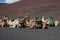 Timanfaya park on lanzarote island