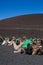 Timanfaya park on lanzarote island