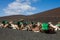 Timanfaya park on lanzarote island