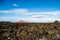 Timanfaya volcanic area in Lanzarote,